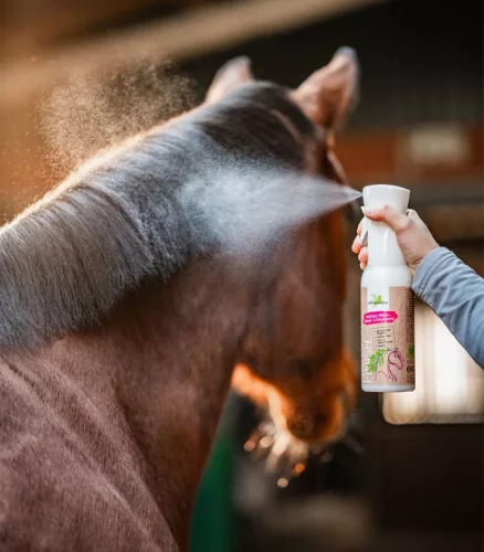 Bense&Eicke Natural Finish szőr és sörényápoló 500 ml