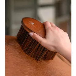Waldhausen Hardwood szőrkefe