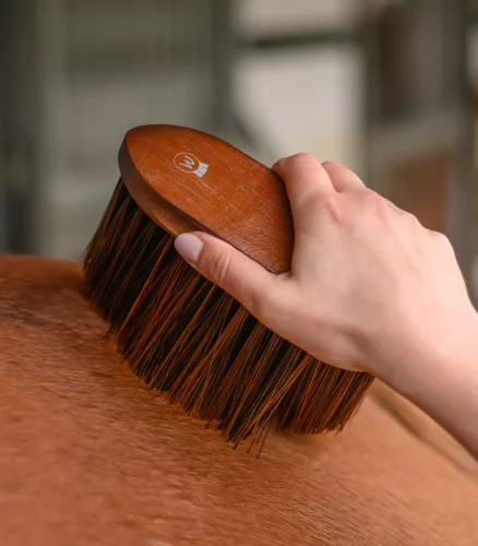 Waldhausen Hardwood szőrkefe