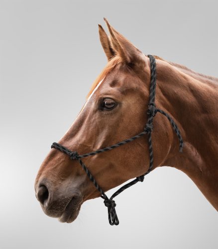 Waldhausen csomózott kötőfék - fekete-barna, Cob