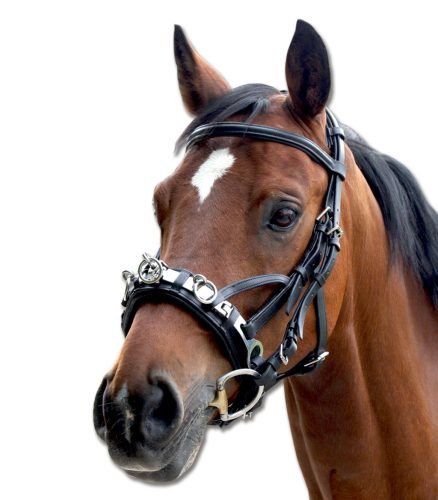 Waldhausen bőr kapicán