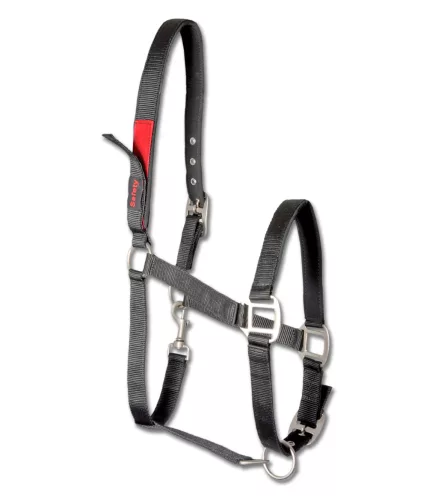 Waldhausen Safety kötőfék