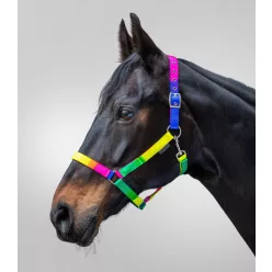 Waldhausen Rainbow kötőfék - Full