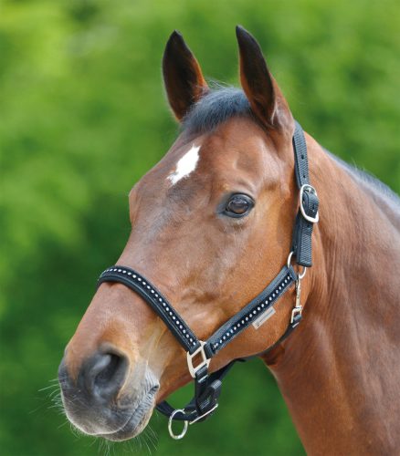 Waldhausen Shetti kötőfék - kék