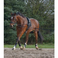 Waldhausen komplett futószárazó segédszár - Cob/póni