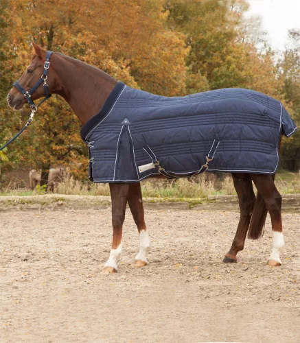 Waldhausen Comfort istállótakaró 300g