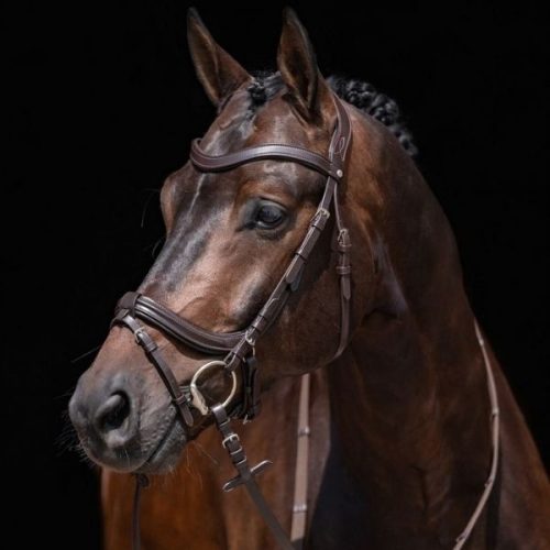 HKM Anatomic kantár