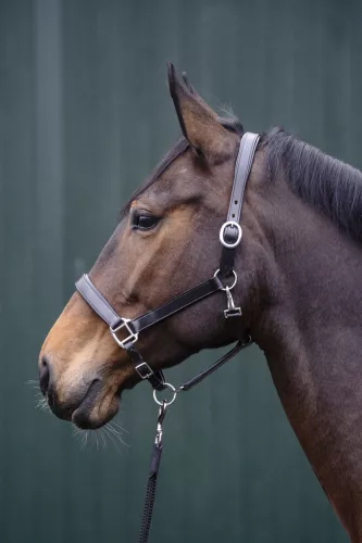 HKM bőr kötőfék - fekete, full