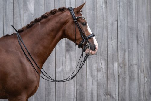 HKM Kate nagykantár - Full