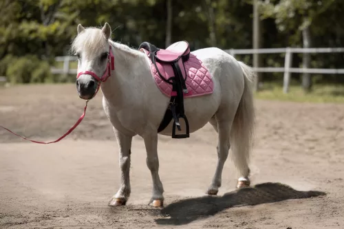 HKM Shetty-nyereg szett -Lucy- rózsaszín