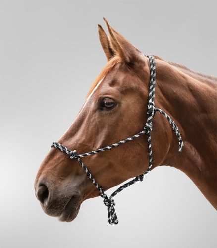 Waldhausen csomózott kötőfék - fekete-fehér, Cob