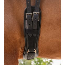 Waldhausen Basic díjlovas heveder - 55 cm