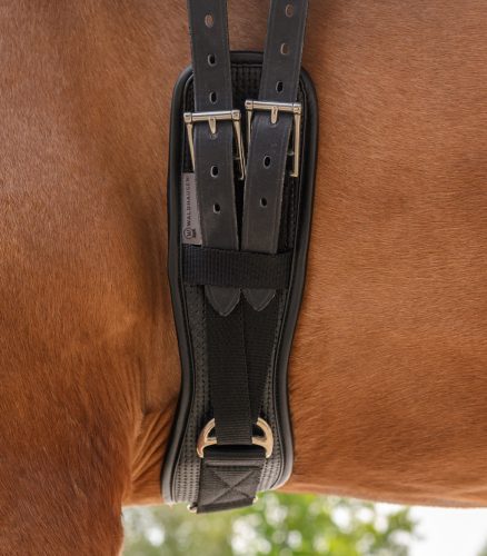 Waldhausen Basic díjlovas heveder - 70 cm