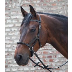 Waldhausen Lindell zabla nélküli kantár - Full, fekete