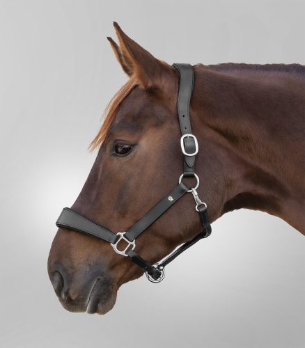 Waldhausen X-Line anatómiai bőr kötőfék