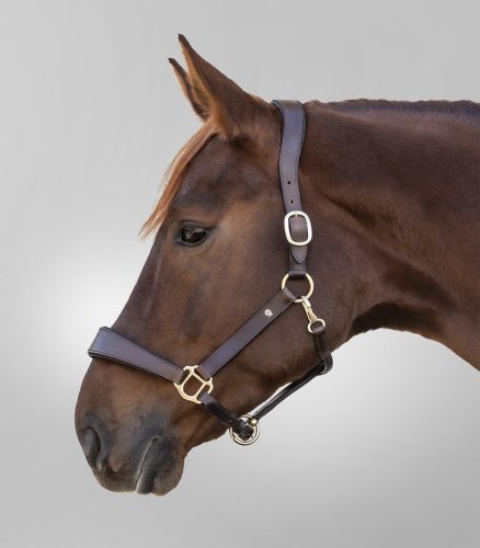 Waldhausen X-Line anatómiai bőr kötőfék - Cob, barna