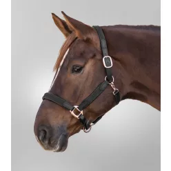 Waldhausen Star Mix kötőfék - Póni, fekete-rosegold