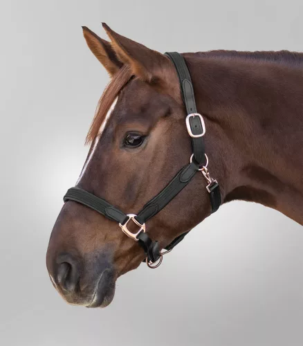 Waldhausen Star Mix kötőfék - Póni, fekete-rosegold