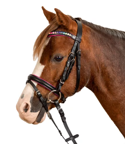Waldhausen Pinky Star kantár - Shetti