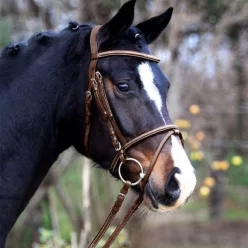 Waldhausen Santander X-Line kantár - Cob, barna