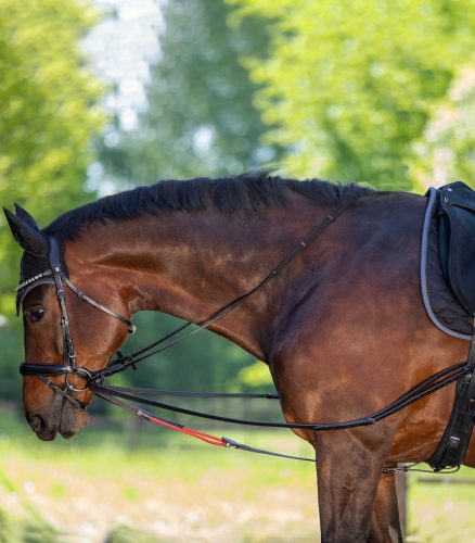 Waldhausen W-train segédszár - Cob