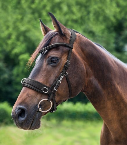 Waldhausen Anatomical bőr kapicán- fekete, xfull