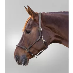 Waldhausen Nevada kötőfék - Full, sötétbarna