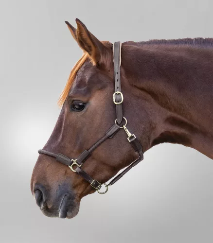 Waldhausen Nevada kötőfék - Full, sötétbarna