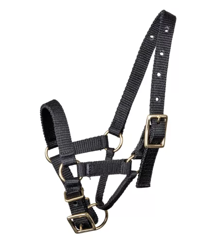 Waldhausen Alpaca kötőfék - L