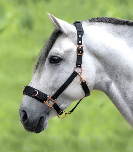 Waldhausen Rosé kapicán- cob