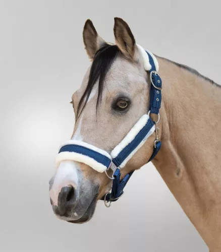 Waldhausen Sparkle kötőfék - sötétkék, Cob