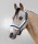 Waldhausen Sparkle kötőfék - sötétkék, Full