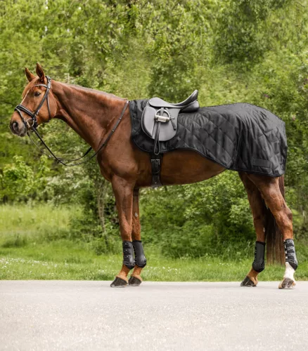 Waldhausen Exclusive munkatakaró - fekete, Full