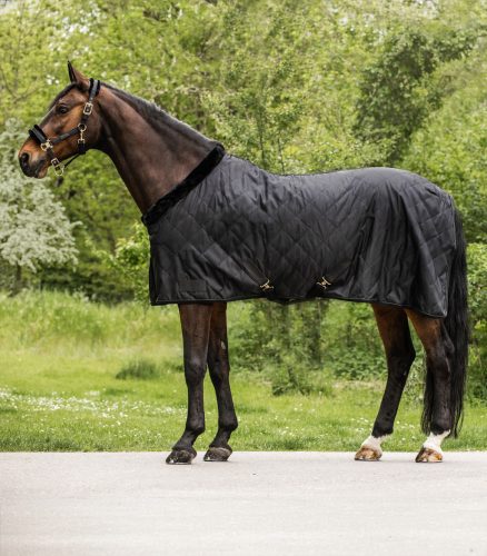 Waldhausen Exclusive szállító takaró - fekete, 135 cm