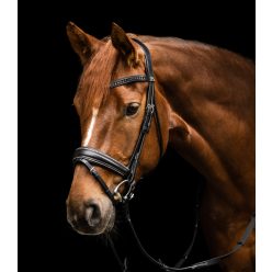 Waldhausen Glamour kantár - Full