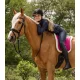 Waldhausen Soft patrac - pink, Póni