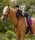 Waldhausen Soft patrac - pink, Shetti
