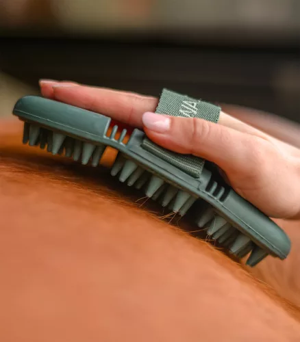 Waldhausen Flex Massage vakaró - mistletoe