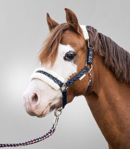 Waldhausen Lucky kötőfék vezetőszárral - Full