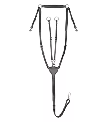 Waldhausen Professional szügyelő