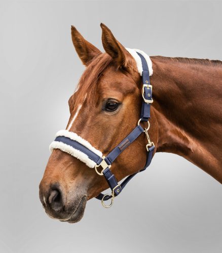 Waldhausen Exclusive műszőrös kötőfék - sötétkék, Cob
