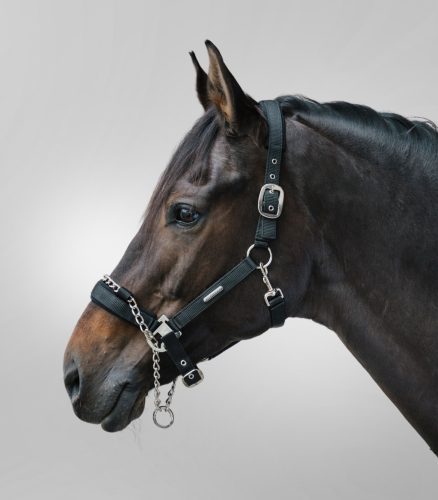 Waldhausen Pro Safety kötőfék