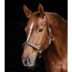 Waldhausen Crystal bőr kötőfék - barna, Full