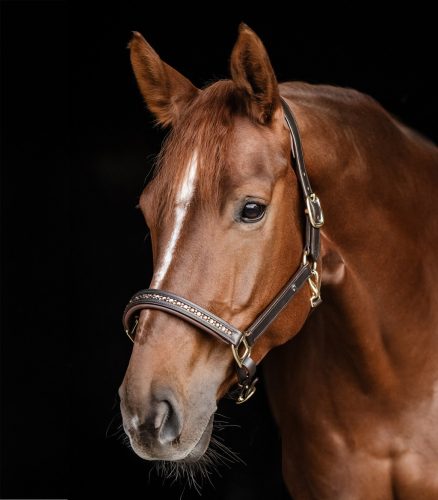Waldhausen Crystal bőr kötőfék