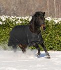 Waldhausen Nordic karámtakaró polár béléses