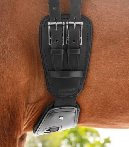 Waldhausen Elastic díjlovas bőr heveder - fekete, 65 cm