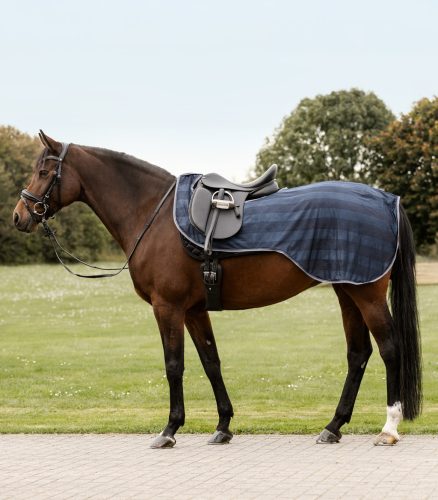 Waldhausen Economic légytakaró munkához - sötétkék, Full