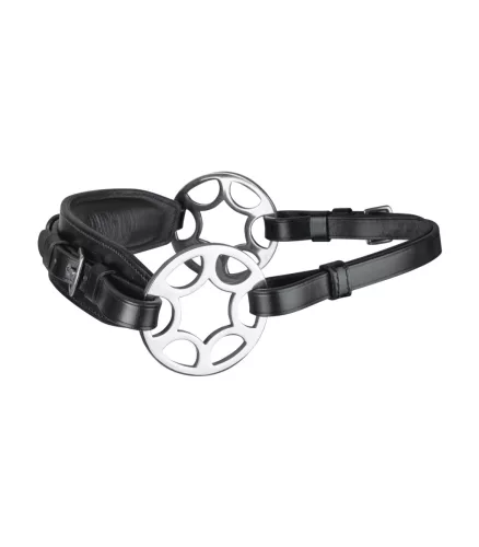 Waldhausen Sensitive hackamore orrész