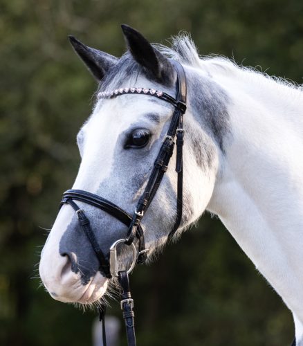 Waldhausen Happy Hearts kantár