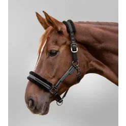 Waldhausen Elegant kötőfék, fekete, XFull